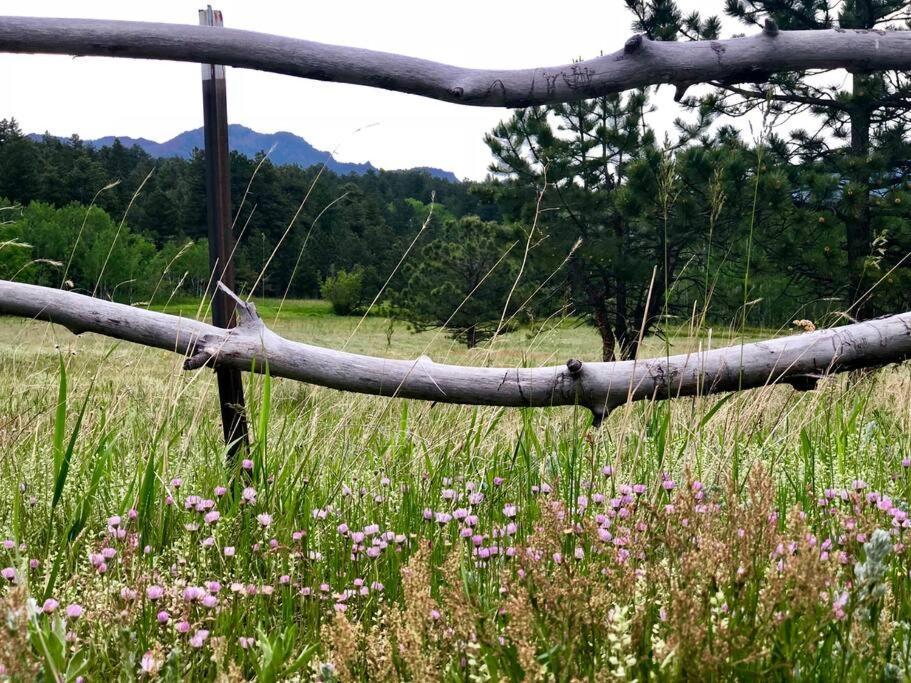 Boulder Best City And Nature With Lake And Trails Pets Ok Екстер'єр фото